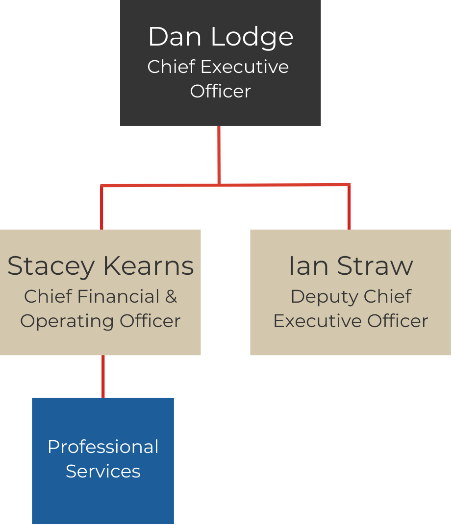An organigram of the HLA executive structure.